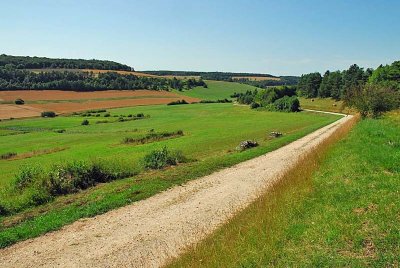 PELOUSES, BOIS ET MARAIS DE LA COMBE COURTEAU ET DU CHANET