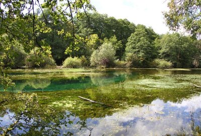 COMBES FORESTIERES DU MASSIF D'ECOT-LA-COMBE