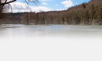 COMBE DES ERMITES, ETANGS ET VALLON DES BATTANTS A REYNEL