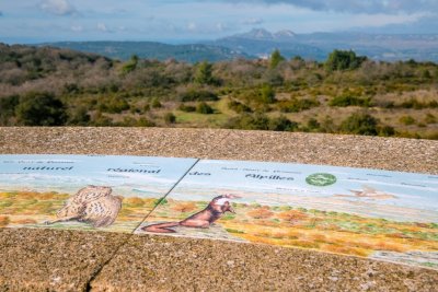 Plateau du Grand Puech