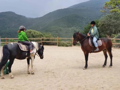 Soubrana Cheval Montagne