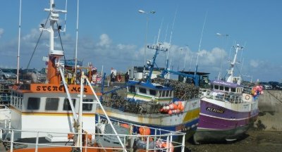 Port de pêche de Roscoff
