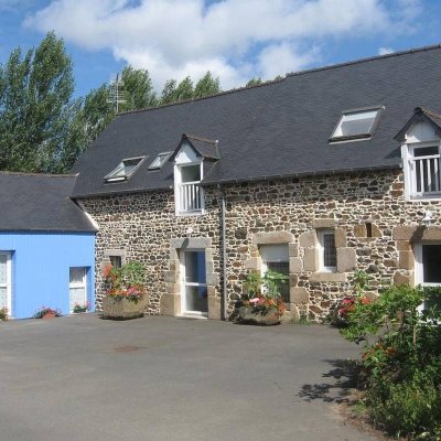 Pin sylvestre (Pinus sylvestris) - 250 ans