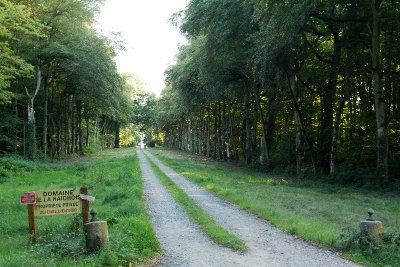 L'allée de la Haichois