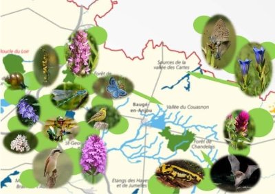 SENTIER DÉCOUVERTE DE LA BIODIVERSITÉ DE LA VALLEE DES CARTES