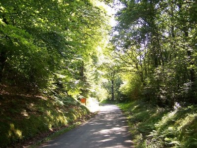 Le Schuss des Souches