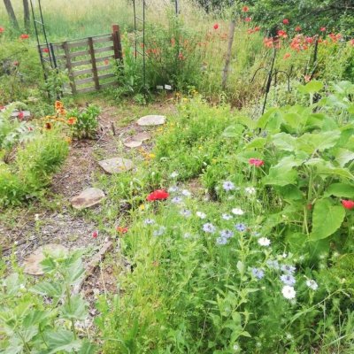 Jardin médicinal d'Entrecasteaux