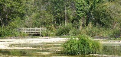 Circuit vers Vendoire