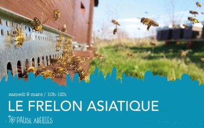 Pause Abeilles