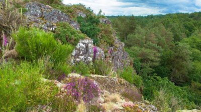 Les Landes de la Briantais
