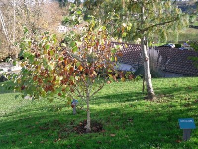 Circuit de la montagne - VTT