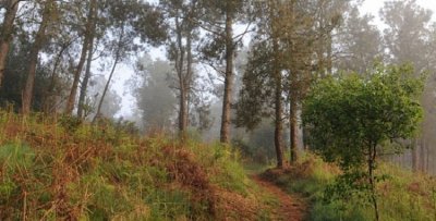 Les landes et tourbières de Saint Maudez