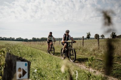 LE PIN : le Plateau de Moyaux - 37 Km D 287 m