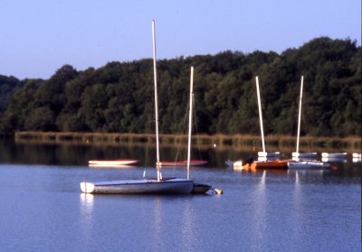 Etang de La Hardouinais