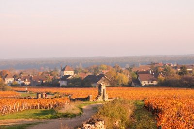 Grande boucle de la Côte Chalonnaise