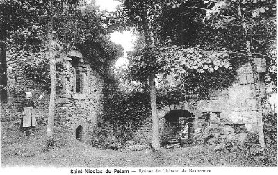 La forêt de Beaucours