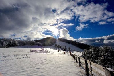 Circuit de la Haute-Planche